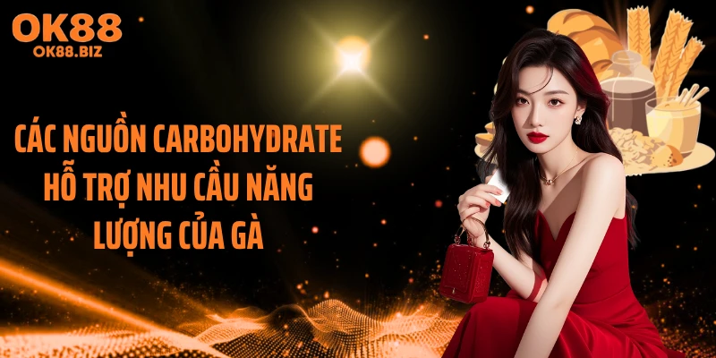 Các nguồn carbohydrate hỗ trợ nhu cầu năng lượng của gà