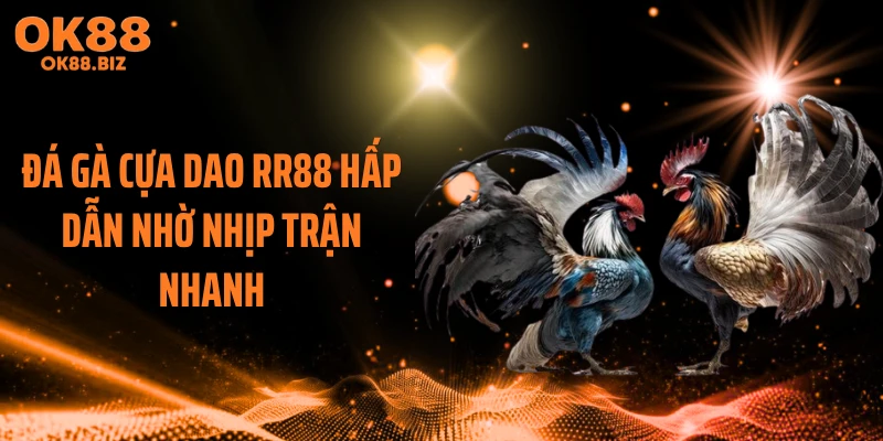 Đá gà cựa dao RR88 hấp dẫn nhờ nhịp trận nhanh