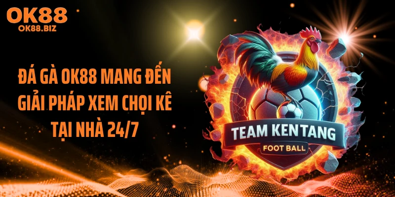 Đá gà OK88 mang đến giải pháp xem chọi kê tại nhà 24/7