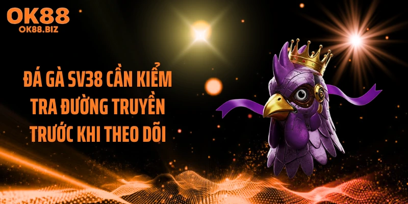 Đá gà SV38 cần kiểm tra đường truyền trước khi theo dõi