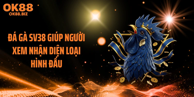 Đá gà SV38 giúp người xem nhận diện loại hình đấu
