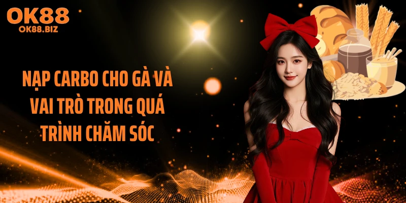 Nạp carbo cho gà và vai trò trong quá trình chăm sóc