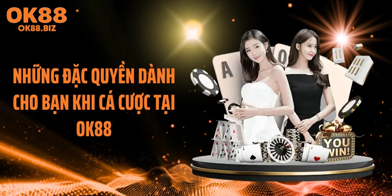Những đặc quyền dành cho bạn khi cá cược tại OK88