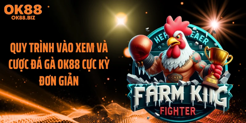 Quy trình vào xem và cược đá gà OK88 cực kỳ đơn giản